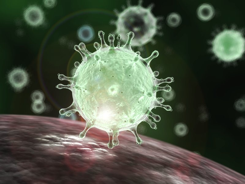 the corona virus